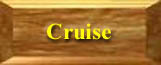 Click here to view limited edition pins released only on the Disney Cruise Lines